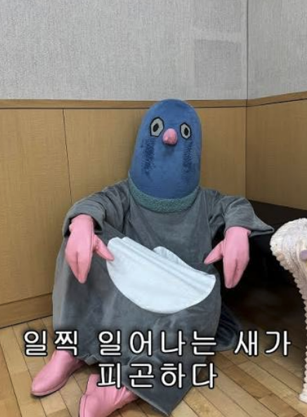 일찍 일어나는 새가 피곤하다는 문구가 적힌 짤